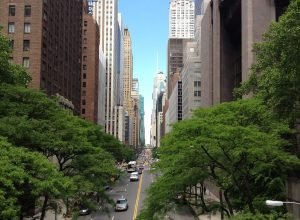 tree-architecture-sky-road-skyline-street-1087245-pxhere.com